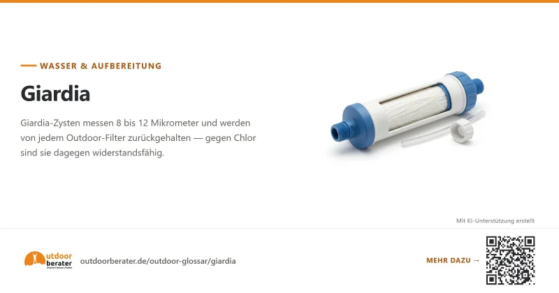 Teilen-Bild zu Giardia: Zysten, Größe, Filterbarkeit