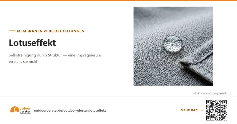 Teilen-Bild zu Lotuseffekt: über 150° Kontaktwinkel, unter 10° Abrollwinkel