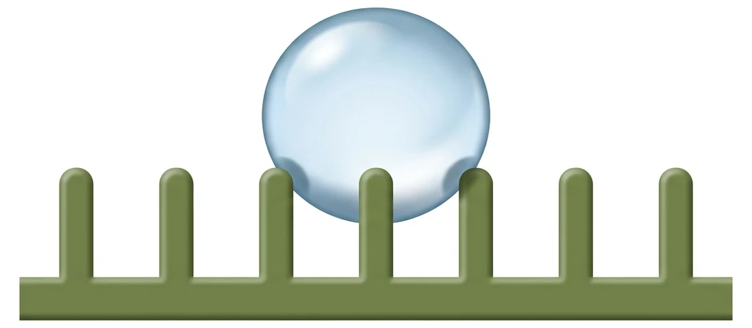 Querschnitt durch eine superhydrophobe Oberfläche: Der Wassertropfen sitzt fast kugelrund auf den Spitzen der Mikrosäulen, zwischen den Säulen bleibt Luft eingeschlossen und die Grundfläche bleibt trocken.