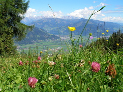 Einsatzgebiet Sommerzelt