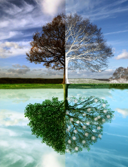 Einsatzgebiet 3 & 4-Jahreszeiten Zelt Einsatzgebiet 3 & 4-Jahreszeiten Zelt